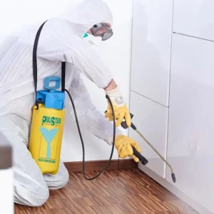 Disinfezione
